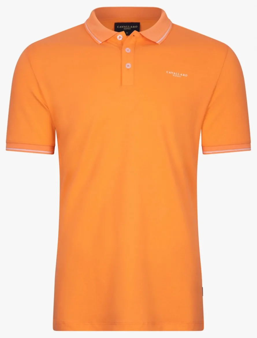 Andrio Polo<Cavallaro Napoli Discount