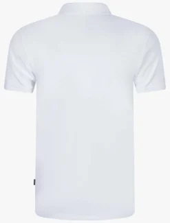 Cosimo Polo<Cavallaro Napoli New