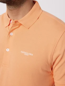 Cosimo Polo<Cavallaro Napoli New
