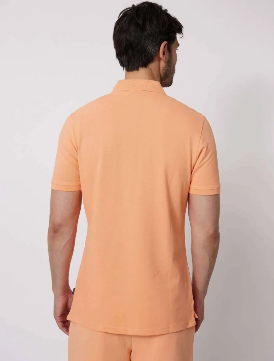 Cosimo Polo<Cavallaro Napoli New