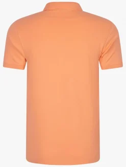 Cosimo Polo<Cavallaro Napoli New