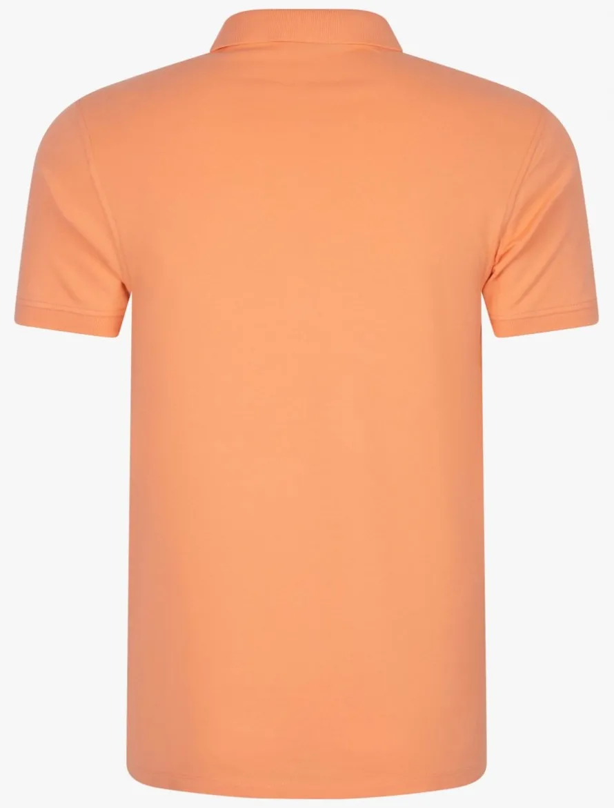Cosimo Polo<Cavallaro Napoli New