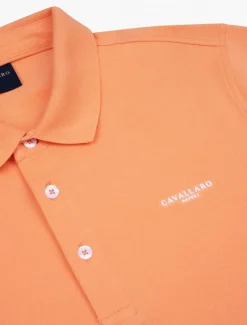 Cosimo Polo<Cavallaro Napoli New