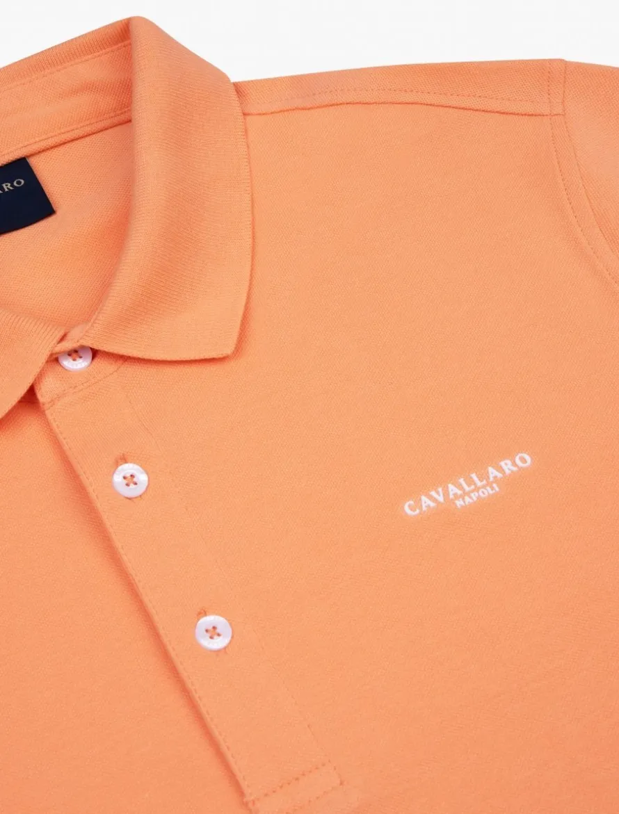 Cosimo Polo<Cavallaro Napoli New