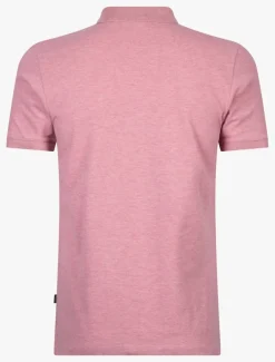 Damiano Polo<Cavallaro Napoli New